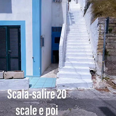 Ponzamania La Terrazza Di Cala Feola